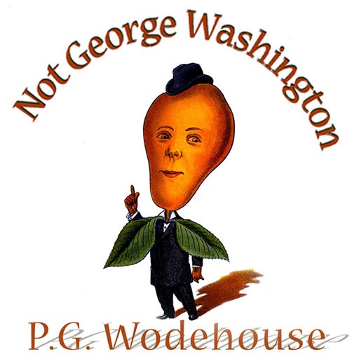 Not George Washington (by P. G. Wodehouse and Herbert Westbrook) icon