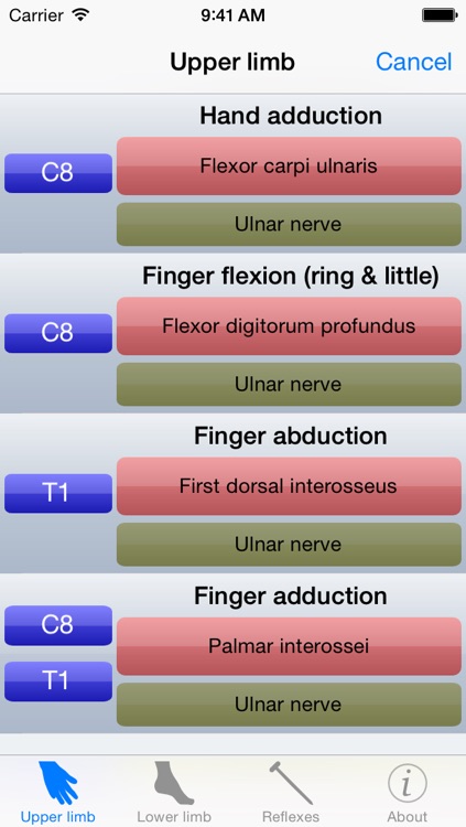 Myotomes