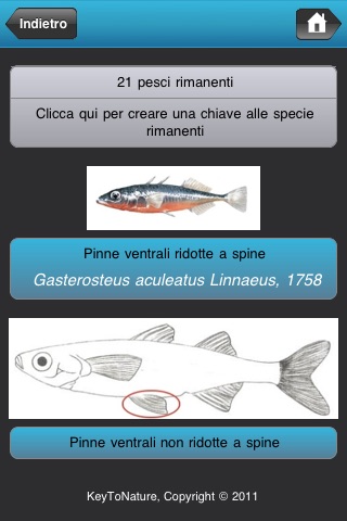 Pesci d'acqua dolce del Friuli Venezia Giulia screenshot 4