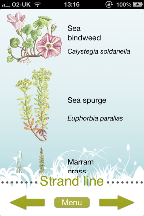 FSC Sand Dunes Guide