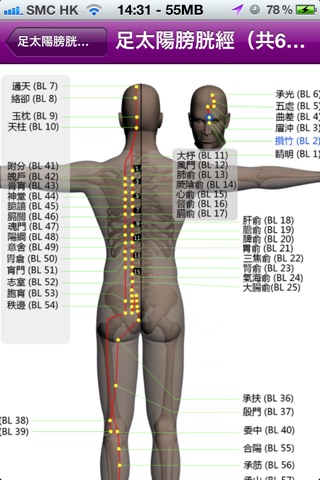 針灸學 – 經絡與穴位 (Acupuncture – Meridians and Acupoints) screenshot 4