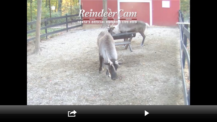 ReindeerCam