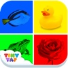 Colors Sound Book - Make animals and fruit come alive!