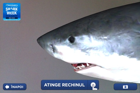 Shark Week screenshot 3