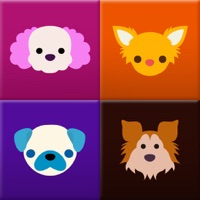 Dog Photobook