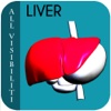 All Visibiliti Liver