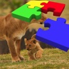 어린이를 위한 동물 퍼즐