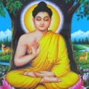 Gautama Buddha