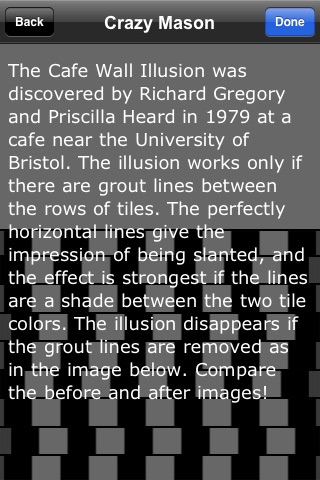 Amazing Illusions - Fun Optical Puzzles