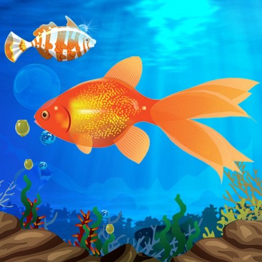 Hungry Fish Lite iOS App