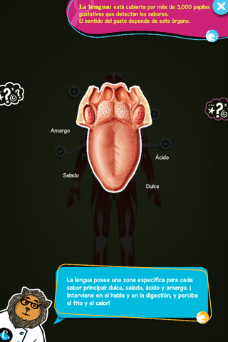 The human body explained by Tom screenshot 3