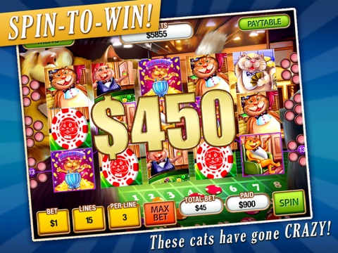 Crazy Cat Slots HD Lite screenshot 3