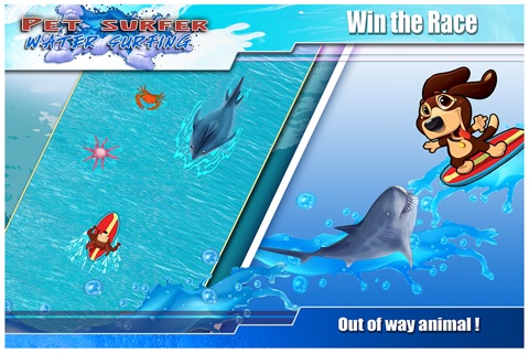 Where's the Bst Riptide ? Free : My Pet Puppy Water Surfing Race screenshot 3