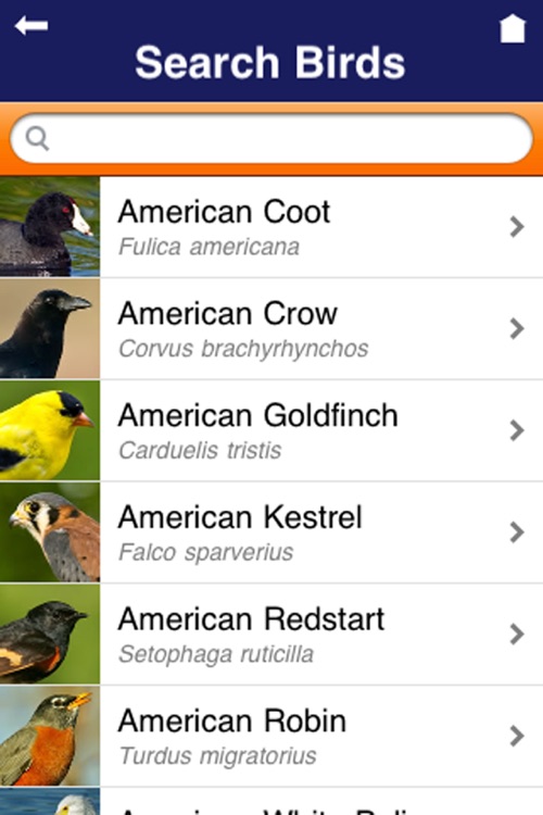 Wild About Birds!