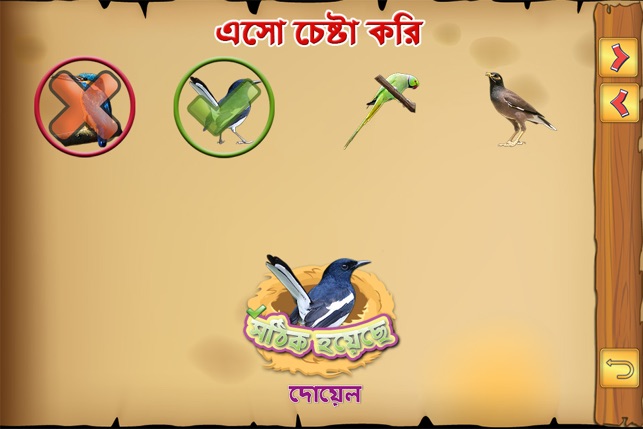 Bengali Birds(圖4)-速報App