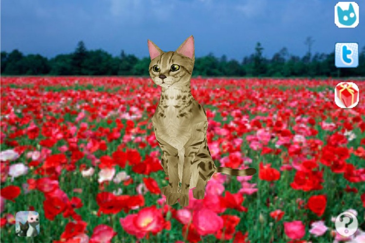 Savannah Petting cat 3D REAL Lite