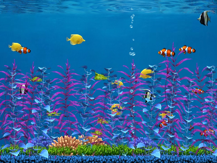 Colorful Aquarium for iPad Lite screenshot-3