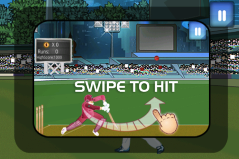 Crazy Cricket screenshot 3