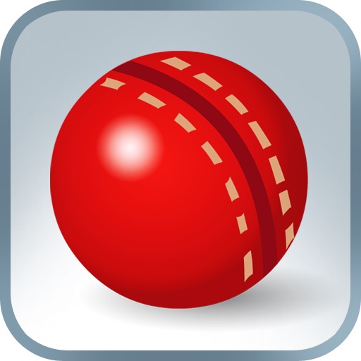 Practice Cricket Icon