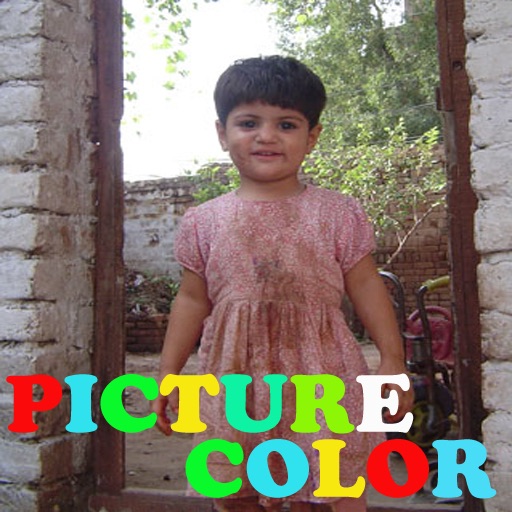 Picture Color icon