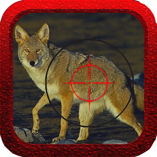 Coyote Hunter Icon