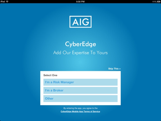 AIG CyberEdge