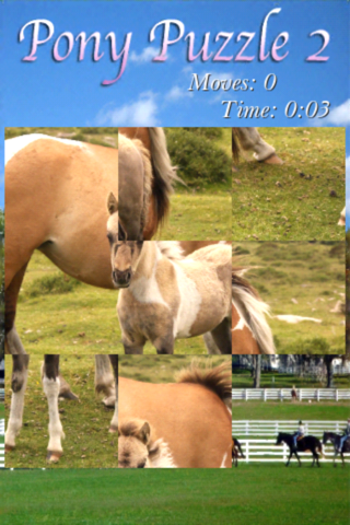 Pony Puzzle 2 screenshot 2