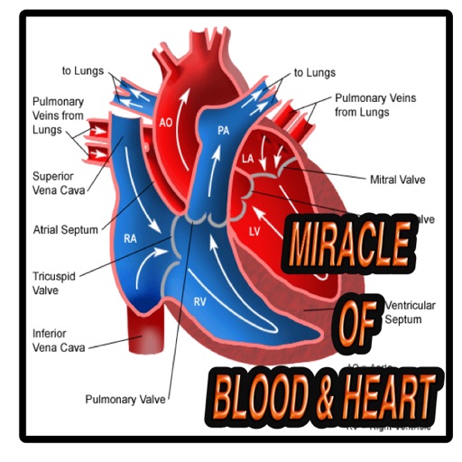 THE BLOOD AND HEART MIRACLES icon