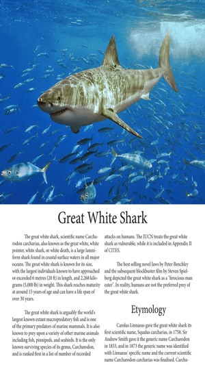 Sharks Magazine(圖2)-速報App