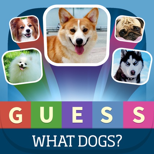 Guess what? Dog Breeds quiz - Popular Dog Breeds in the world icon