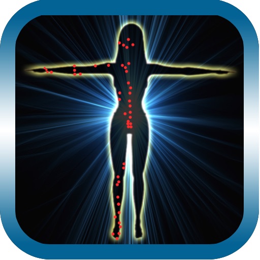 AcuPuncture Visual Dictionary