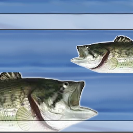 Bass Fishing 101 - Land The Next Large Or Smallmouth! icon