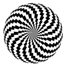 300 Optical Illusions