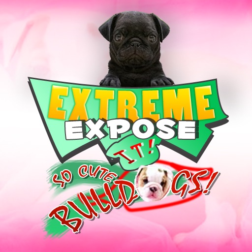 Cute Bulldogs! : Extreme Expose It! iOS App