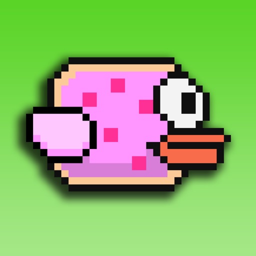 Nyan Bird - omg a frustrating floppy flyer icon