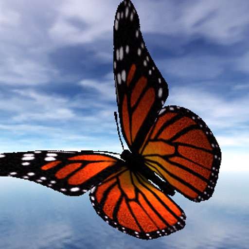 Butterflies iOS App
