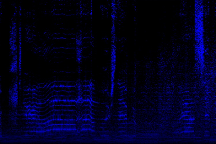 Hyperspectral Music Visualizer