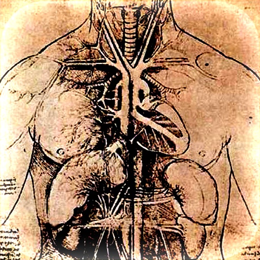 Gross Anatomy icon