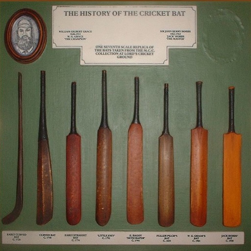 History of Cricket