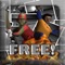 "Best all round cricket game for the iphone" app reviewer