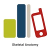 Guide to Skeletal Anatomy