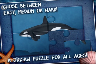 jigsaw puzzle with whales and sharks app price drops