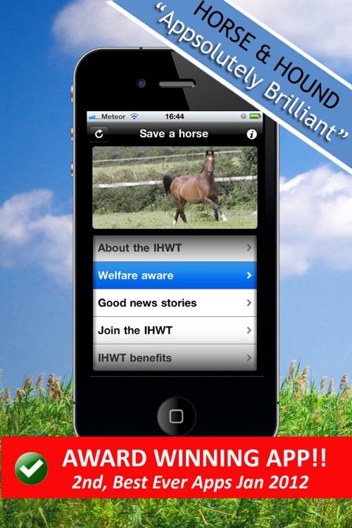 Save A Horse IHWT - Equine Education and Equestrian Help