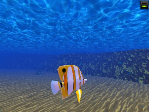 Fish Swarm screenshot 4