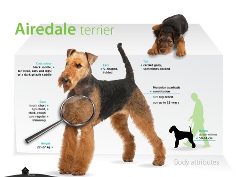 Befriending Dogs - Airedale terrier screenshot 3