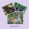 Animal picture book with sounds for kids
