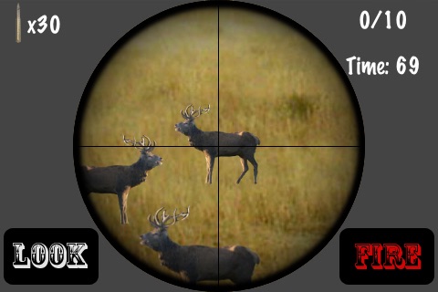 iHunt