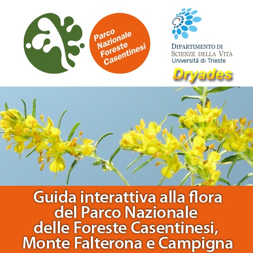 1300 piante: guida interattiva alla flora del Parco Nazionale delle Foreste Casentinesi, Monte Falterona e Campigna icon