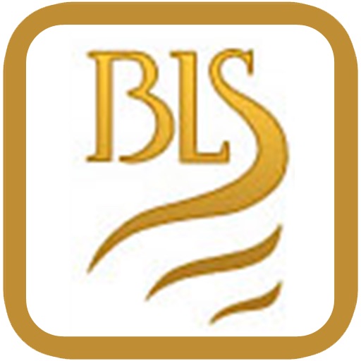 BLS Accident Assistant